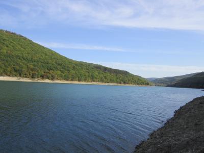 Прикрепленное изображение: IMG_0281.JPG